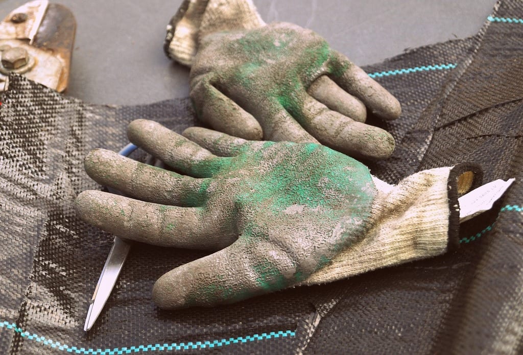 gardening gloves japanese knotweed removal uk - london cardiff bristol